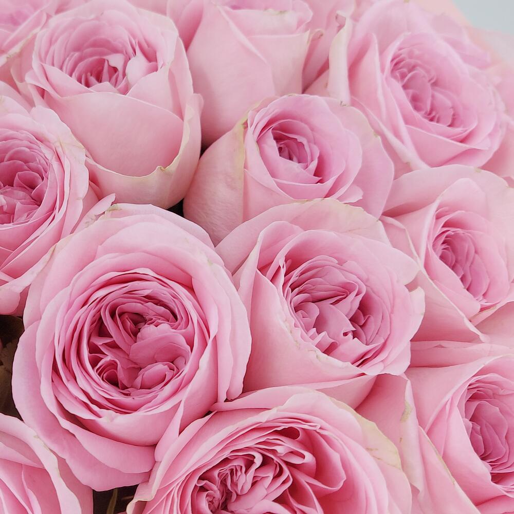 Букет из нежно-розовых роз – элегантность в каждом лепестке Вытегра Вологодская область