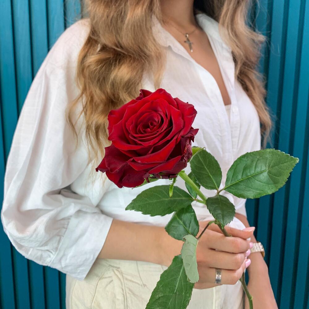 Комплимент из красной эквадорской розы – минимализм роскоши Вытегра Вологодская область