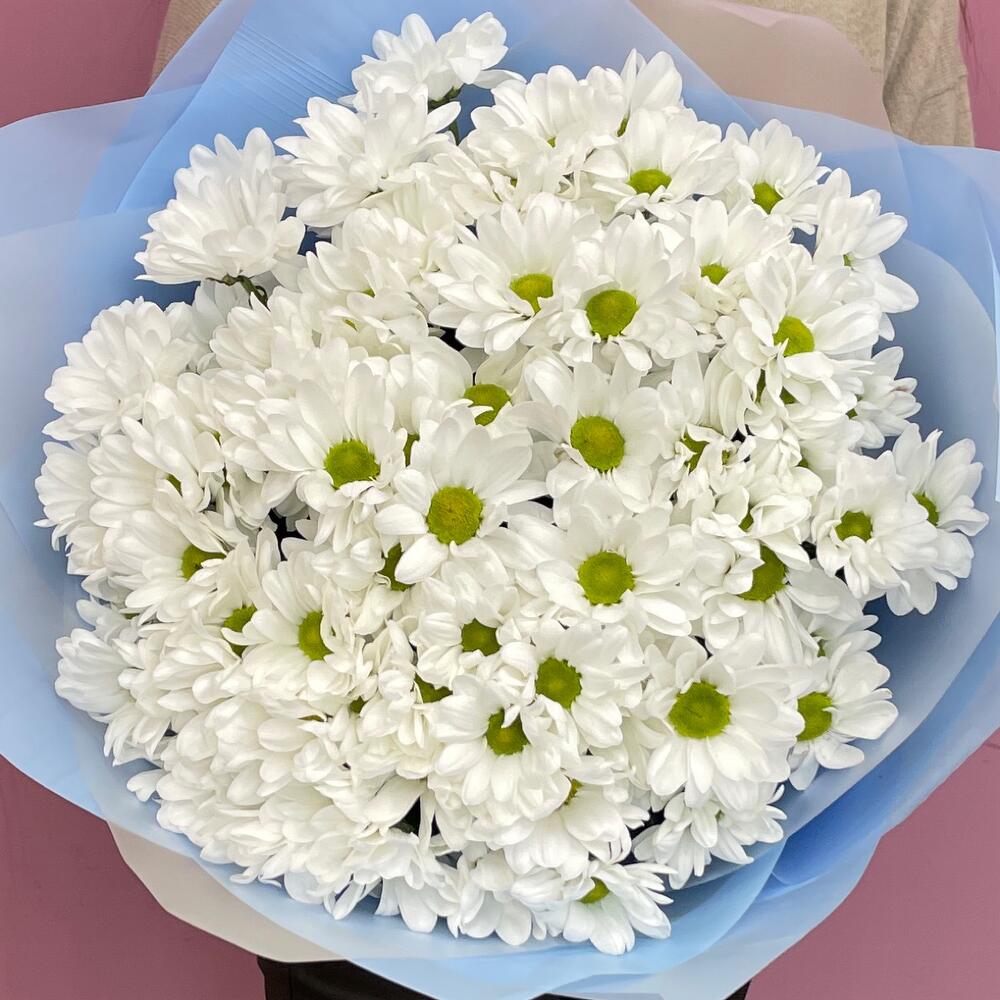 Букет «Ромашковое поле» – свежесть белых хризантем Вытегра Вологодская область