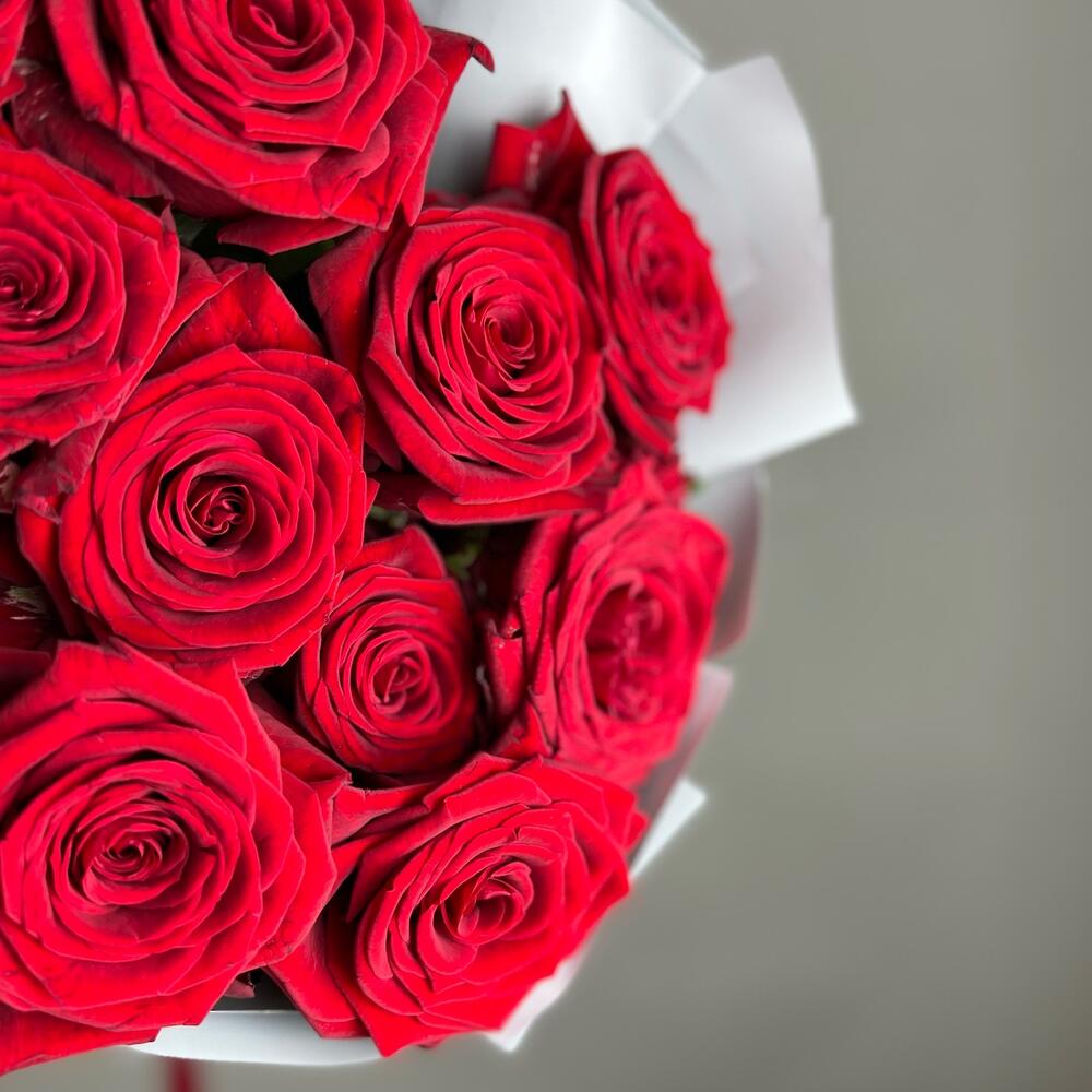 Букет «Красный бархат» – роскошь эквадорских роз Вытегра Вологодская область