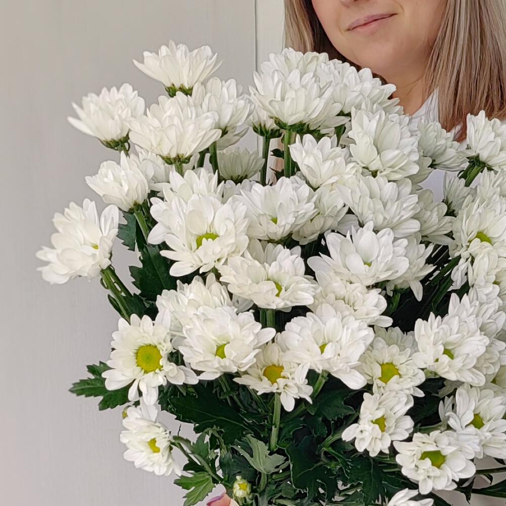 Букет «Ромашка» — свежесть белых хризантем в деревенском стиле Вытегра Вологодская область