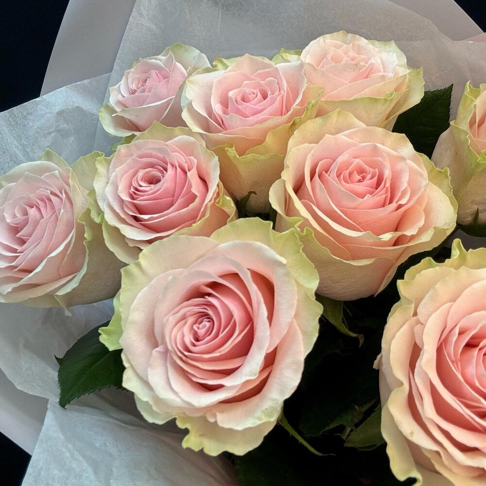 Букет из 9 розовых роз – нежность в каждом лепестке Вытегра Вологодская область