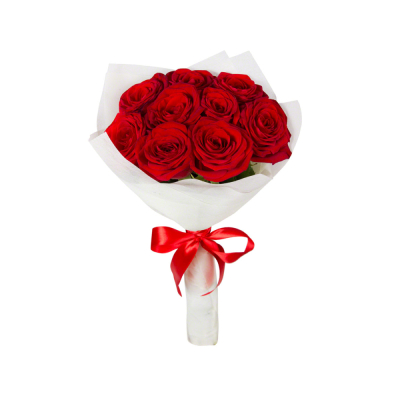 Букет из 9 красных роз в фетре