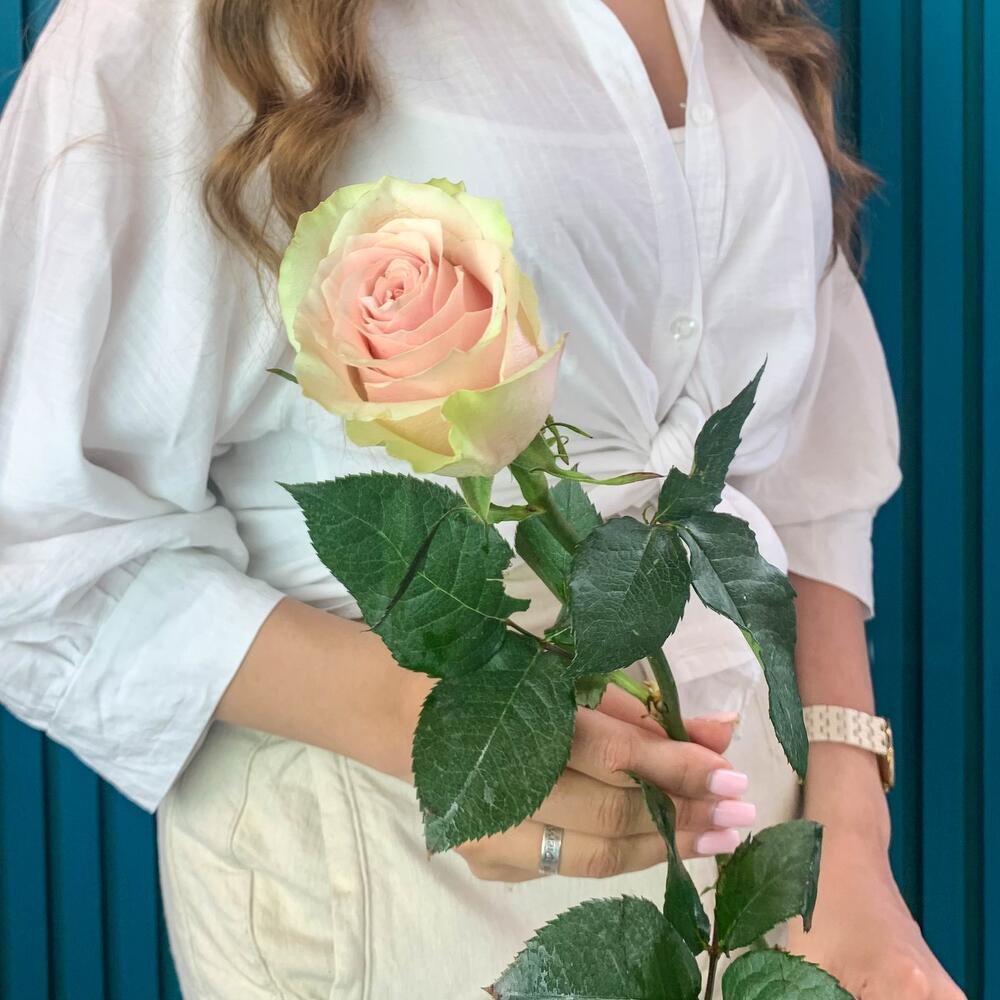 Комплимент из розовой эквадорской розы – минимализм роскоши Вытегра Вологодская область