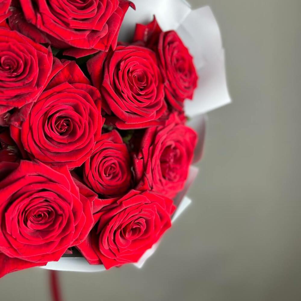 «Королевский бархат» – 25 роскошных красных роз из Эквадора  Вытегра Вологодская область
