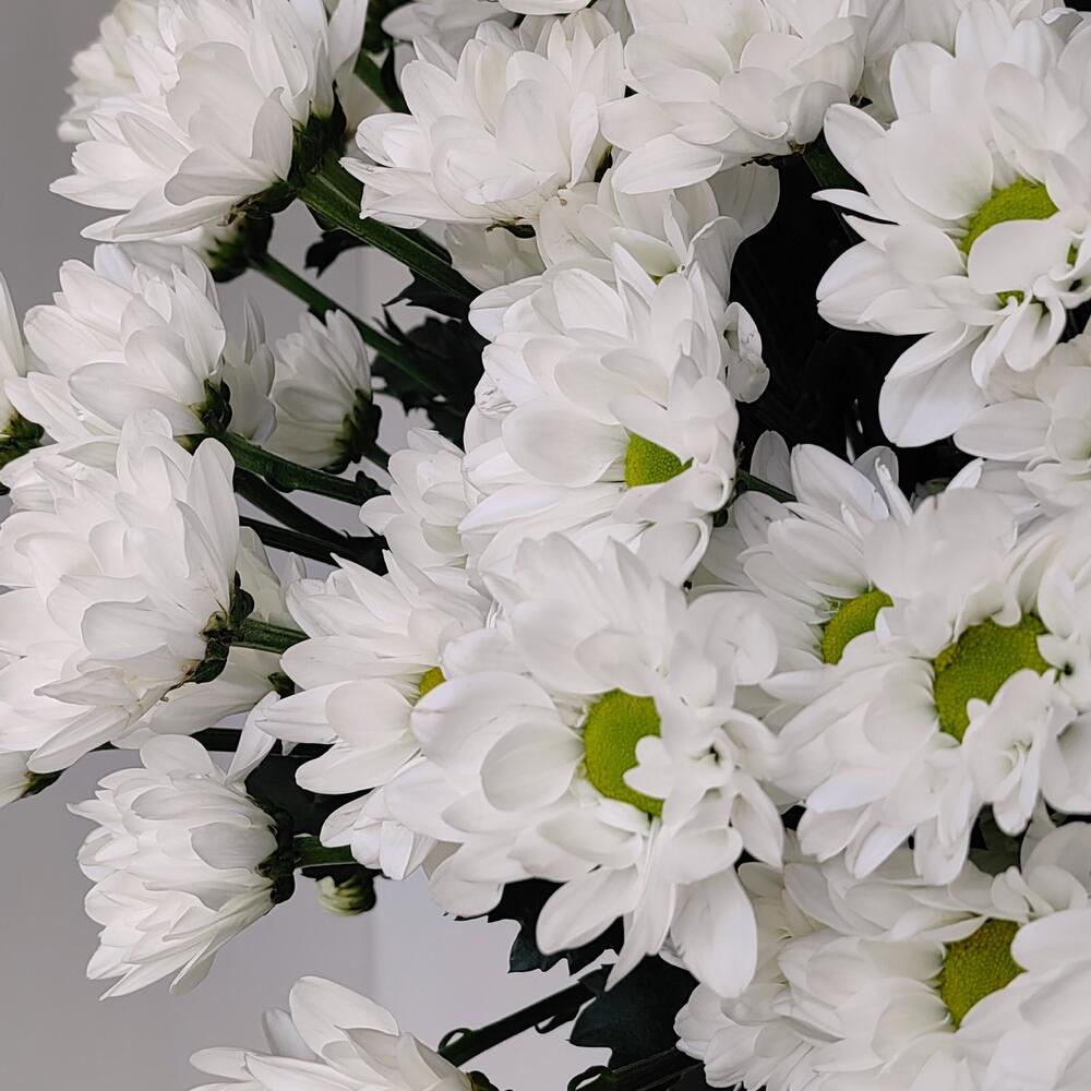 Букет «Ромашка» — свежесть белых хризантем в деревенском стиле Вытегра Вологодская область