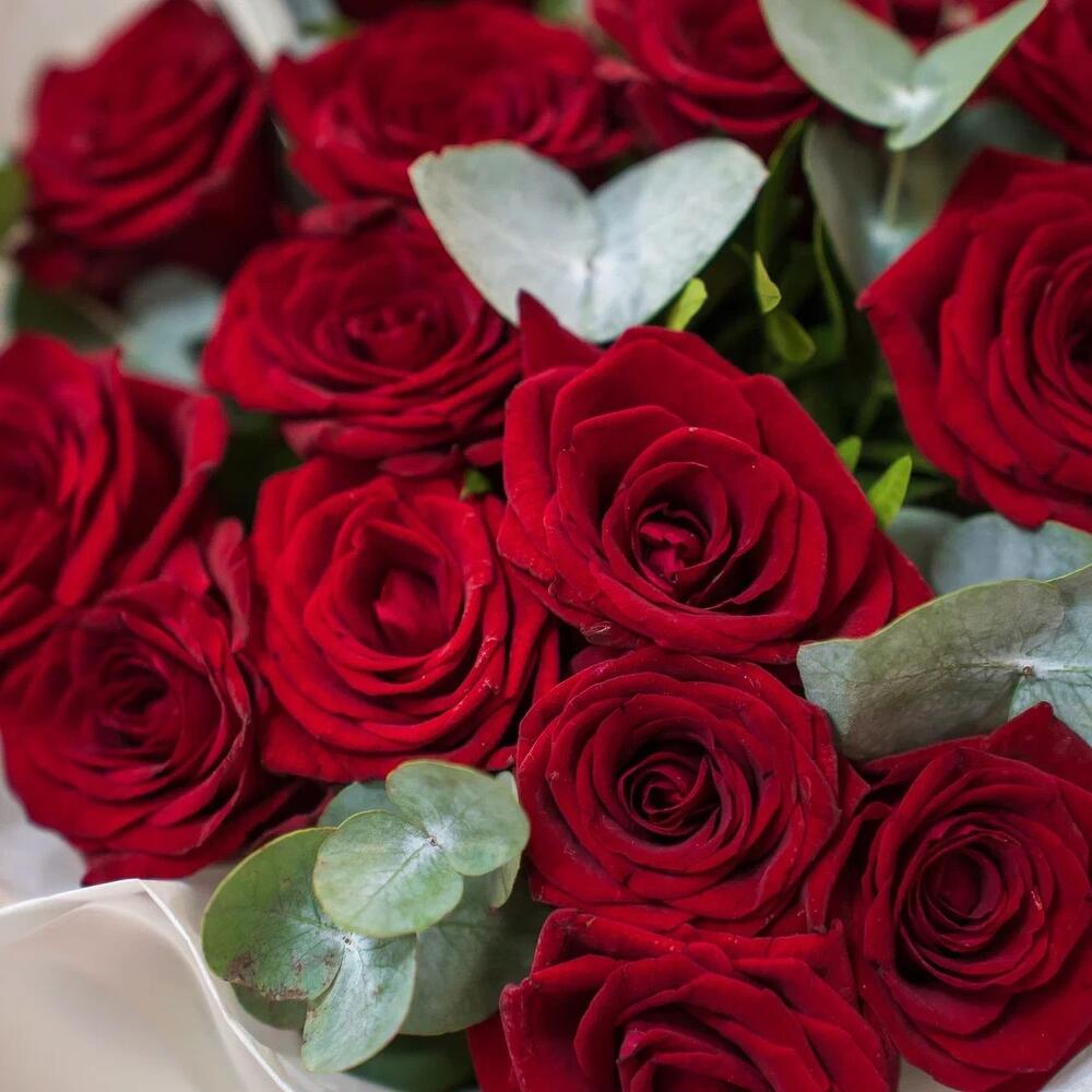 Элегантный букет из 15 красных роз с эвкалиптом – символ страсти и нежности Вытегра Вологодская область